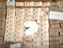 Полиция отчиталась о результатах обысков по делу о подкупе избирателей