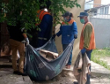 Из дома в Кишиневе вывезли три машины мусора