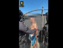 Житель Ниспорен задержан за призывы к теракту против президента Майи Санду.