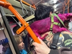 В Кишиневе заметили попрошайку с розовой собакой