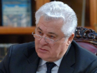 Владимир Воронин о Майе Санду: эта женщина бьется, как рыба об лед