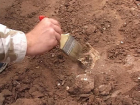 В Приднестровье обнаружены останки двух человек – взрослого и ребенка 