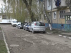 Маньяк отравленной едой истребляет кошек и птиц в Бельцах