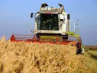 Министр сельского хозяйства заявил об угрозе продовольственной безопасности Молдовы