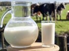 Турецкая сторона профинансирует создание молочной фермы в Гагаузии
