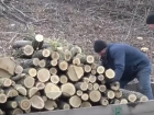 На севере нуждающимся людям начали выдавать дозированно дрова для обогрева