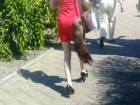 Стройную девушку в мини-платье с «дохлой кошкой» высмеяли жители Кишинева
