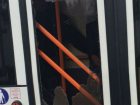 Курьезный инцидент в Бельцах: собака граненым стаканом разбила дверь троллейбуса
