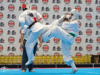 Сборная Молдовы блеснула на чемпионате Европы по каратэ
