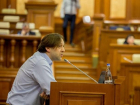 Алайба хочет превратить Молдову в Африку – Петренко «проехался» по законопроекту депутата