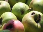 Плохие и дорогие - эксперты о молдавских яблоках