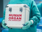 Теперь больше шансов получить орган для трансплантации 