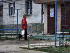 В Бендерах накрыли «цех» по производству «паленой» водки, оборудованный прямо в квартире