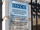 В ОБСЕ остановились на миссии ограниченного наблюдения за выборами в Молдове