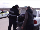 Очаг африканской чумы свиней обнаружен в селе Бешгиоз: введен карантин