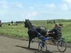 Чемпионат по скачкам прошел в Дрокиевском районе 