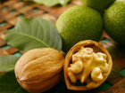 Молдавские орехи резко подорожали – в чем причина