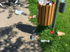 Всех, кто мусорит в общественном пространстве Кишинева, ждут большие штрафы