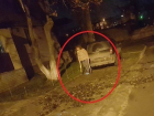 Женщина, выбросившая на улицу мусор из дома, возмутила жителей Кишинева