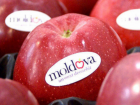 За рубежом растет спрос на молдавские яблоки премиальных сортов