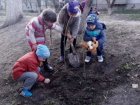 В Чадыр-Лунге прошел День озеленения