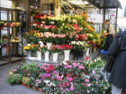 Налоговая служба пополнила бюджет, оштрафовав продавцов цветов