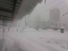 В отсутствие транспорта жители Кишинева пытаются пешком добраться до работы