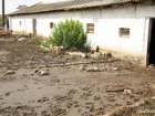 До 10 тысяч кур погибло на птицефабрике в Комрате из-за наводнения