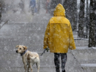 В понедельник в Молдове ожидаются осадки в виде мокрого снега 