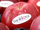 В феврале ожидается резкий наплыв молдавских яблок в Россию