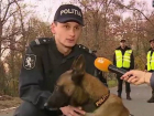 На улицах Кишинева появятся карабинеры с собаками, обученными находить наркотики