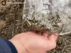 Наркокурьера поймали с поличным на Ботанике - он проверял "закладки"