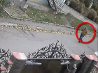 Нападение коварных бандитов на десятилетнего мальчика в Кишиневе попало на видео