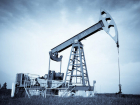 Законность деятельности Valiexchimp по добыче природного газа и нефти будет проверена