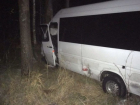 Водитель микроавтобуса, попавшего в аварию в Тверской области, занимался перевозками незаконно
