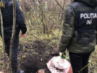 В Яловенском районе обнаружили марихуану на 1,3 млн леев
