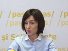 Петренко: стоит объяснить Санду, что она не имеет права проводить «рабочие заседания» с членами ЦИК
