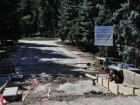 Работы в парке "Алунелул" выполнены уже на 80 процентов