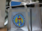 Диаспора намерена повлиять на выборы в Молдове