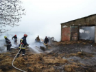 Пожар в Леовском районе уничтожил 35 овец