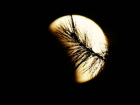 Уникальное лунное затмение сняли на фото и видео потрясенные жители Кишинева 