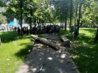 В деле о гибели ребенка в парке Alunelul появился подозреваемый