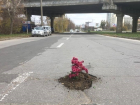 "Дорин на прощание оставил": яма на магистрали в Кишиневе превратилась в цветочную клумбу