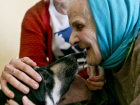 Внук на глазах пенсионеров до смерти забил их любимую собаку в Тирасполе