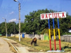 Поп-драчун из села Рэчула ранее уже был замешан в другом скандале