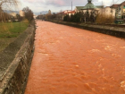 "Кровавая" ядовитая река испугала жителей румынского города