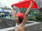 Обнаженной грудью протестовала украинка против «шоколадной гидры Порошенко»