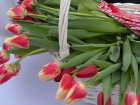 Цветы для женщин Оргеева и Бельц: представители команды Илана Шора устроили флешмоб на улицах городов