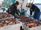 Гребешки стали причиной побоища между рыбаками Франции и Британии