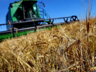 В Молдове стартовала кампания по предоставлению субсидий в сфере сельского хозяйства